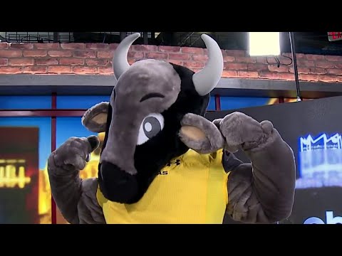 Meet Bravo: the San Antonio Brahmas’ new mascot