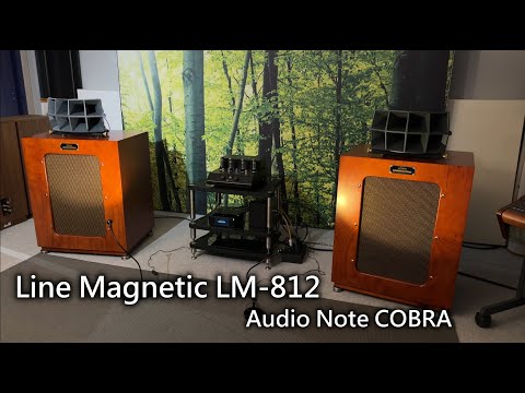 Incredible Horn Loudspeakers You Need To Hear! [4Kᵁᴴᴰ HQ Direct Recording]