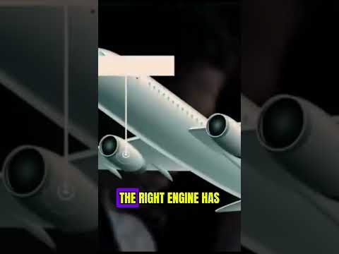 The SHOCKING Pilot Error That Led to DISASTER