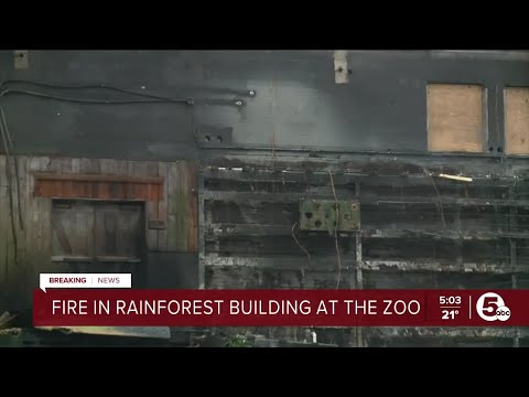 Fire breaks out at Cleveland Metroparks Zoo Rainforest