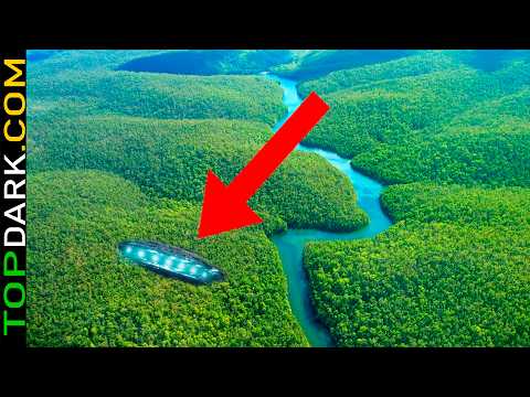 25 Descubrimientos en la Selva Amazónica Que Nadie Puede Explicar