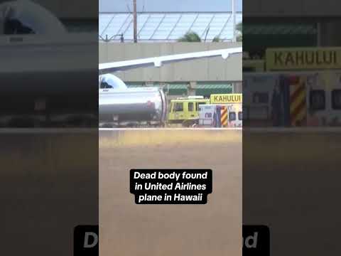 Officials Investigate Dead Body Found in United Airlines Plane Wheel Well After Chicago-Maui Flight