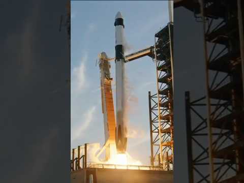 LIFTOFF! Crew-10 Takes to the Skies!