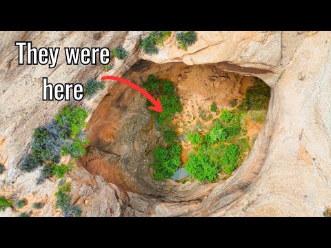 My Wife and I Found an Oasis Hiding Ancient Life
