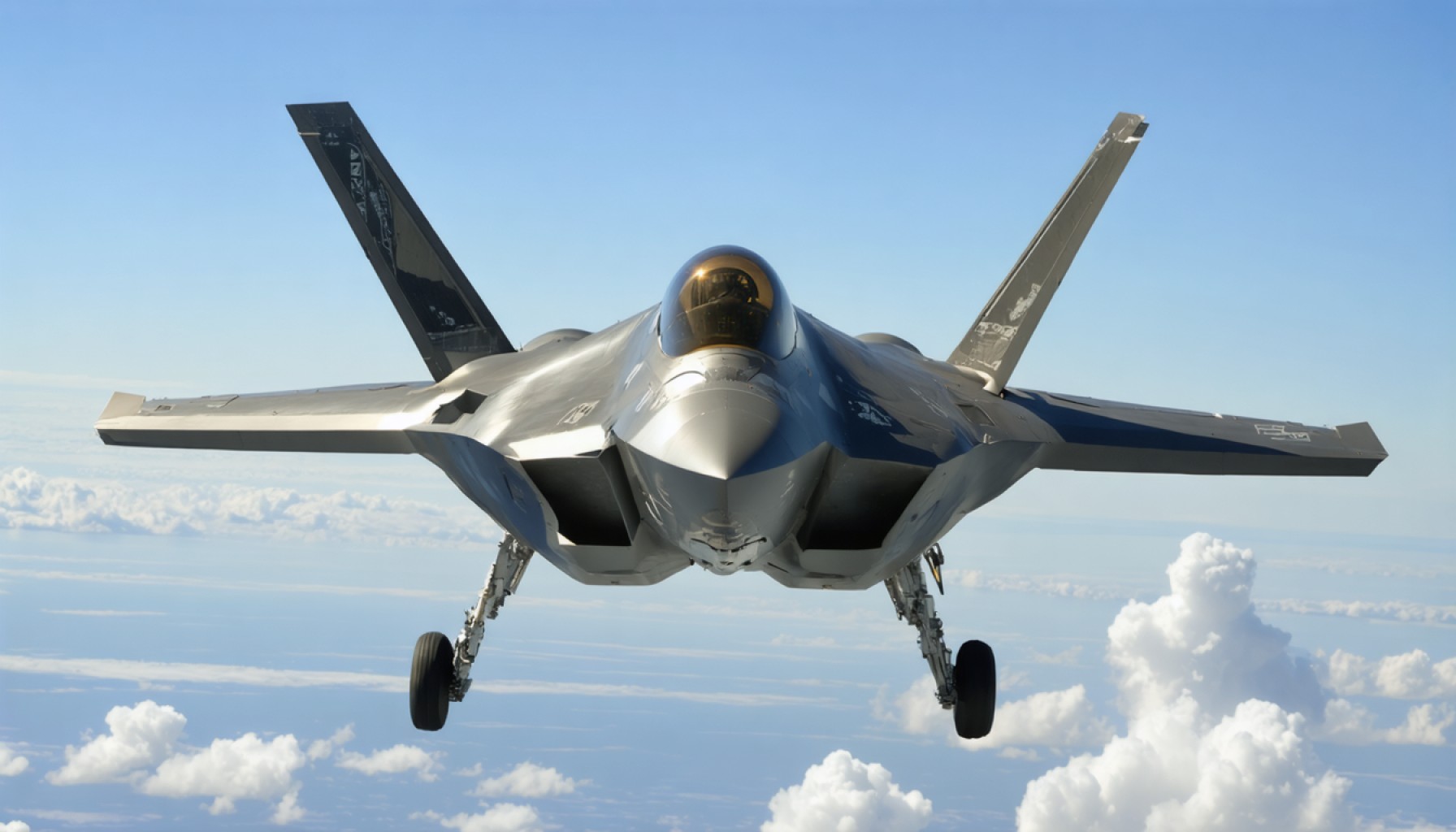 The High Cost of Cooperation: Unraveling the F-35 Controversy